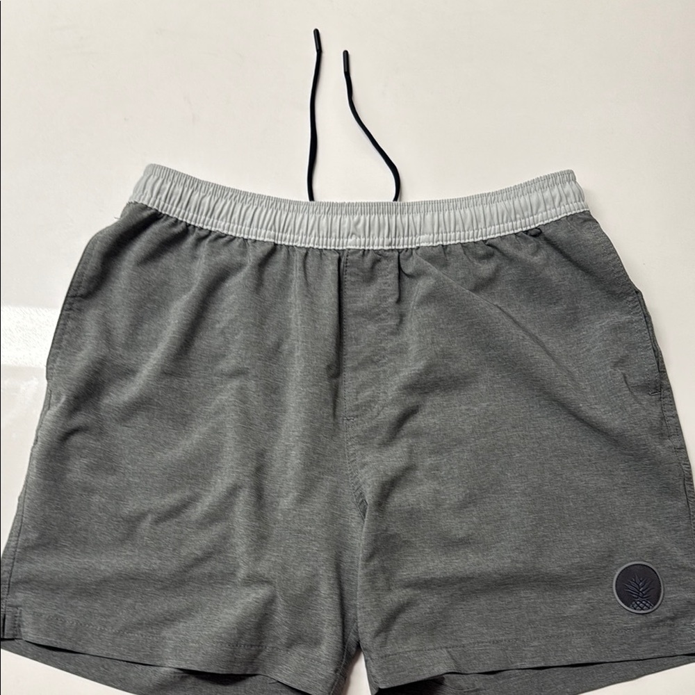 Chubbies Men's Gray Athletic Shorts
